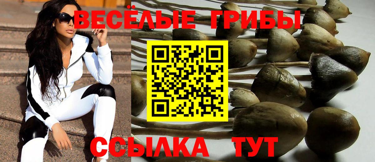 Псилоцибиновые грибы MAGIC MUSHROOMS  Вход с VPN  Орехово-Зуево 